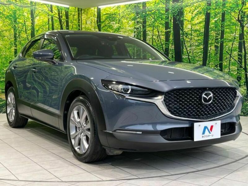 CX-30
