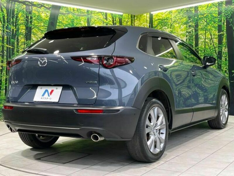 CX-30