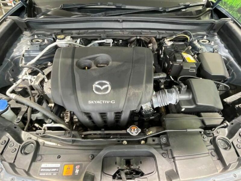 CX-30