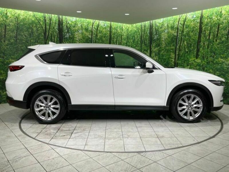 CX-8