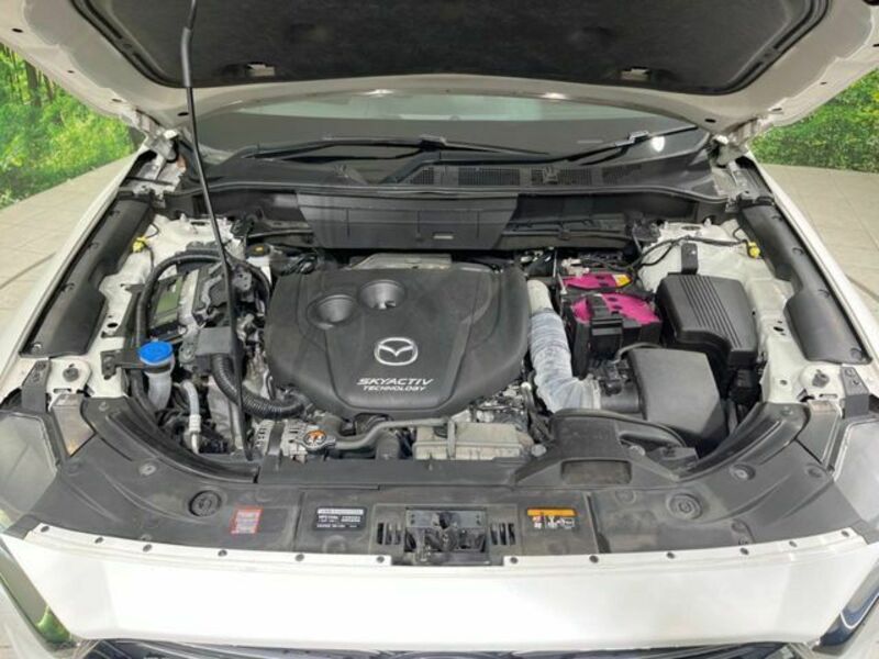 CX-8