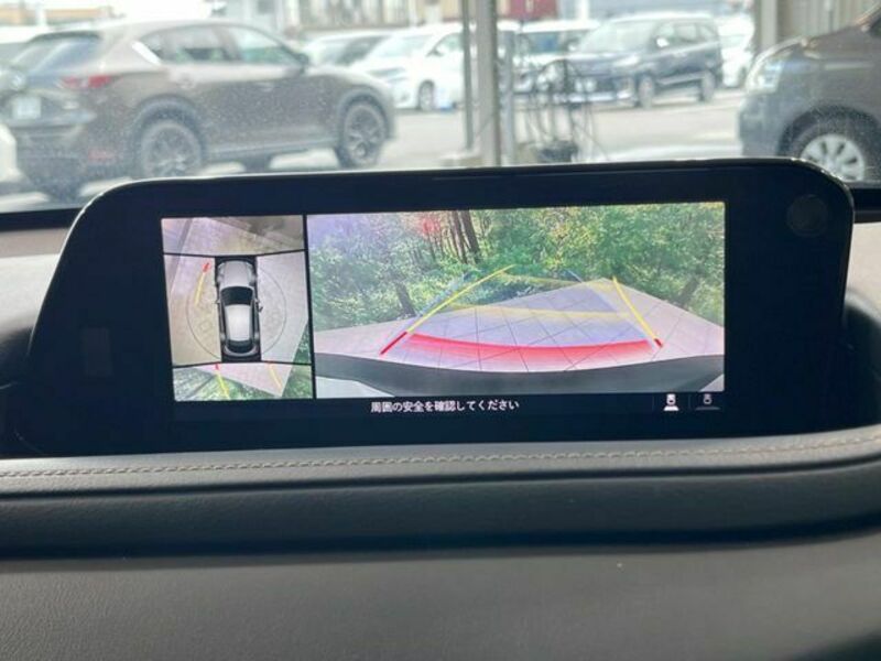 CX-30