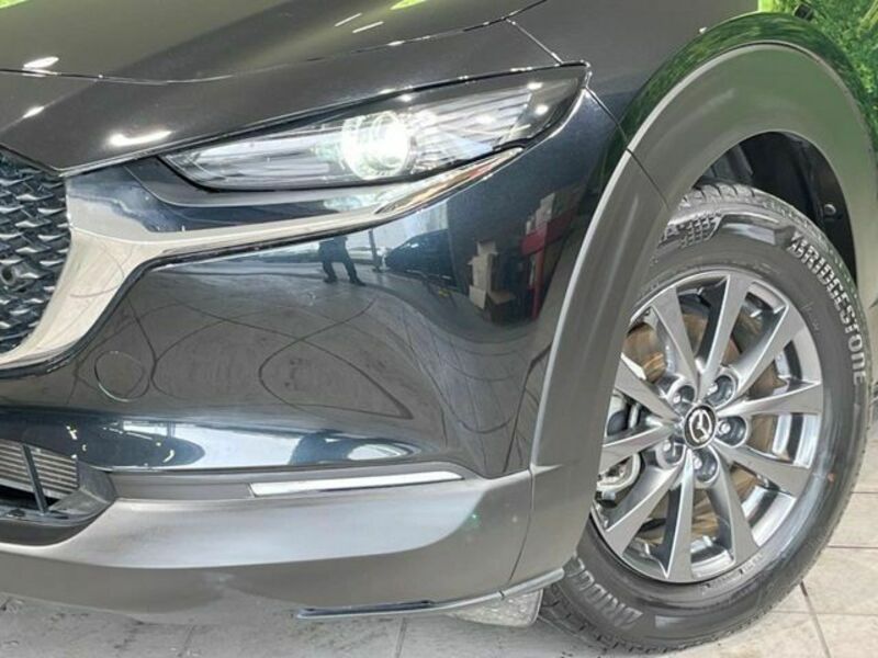 CX-30