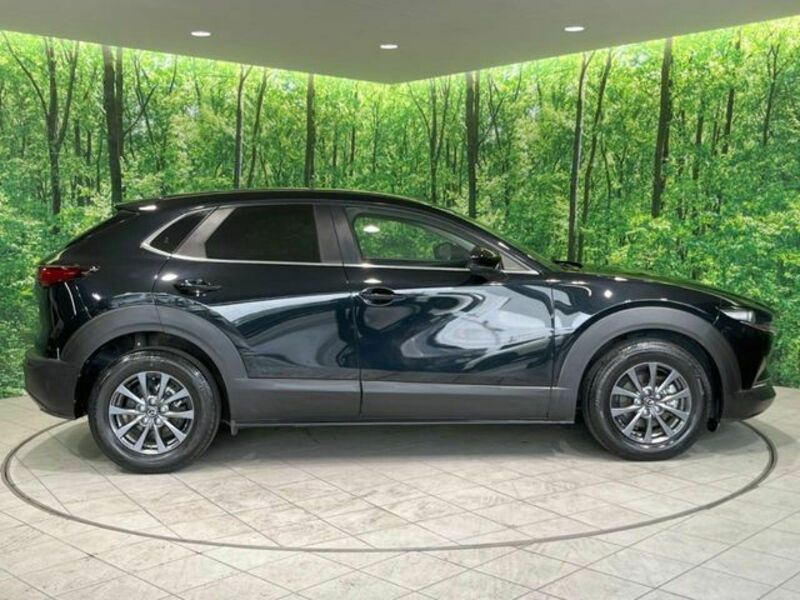 CX-30