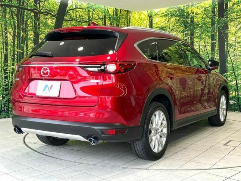 CX-8