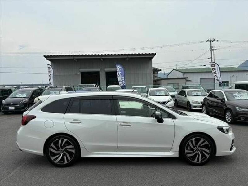 LEVORG