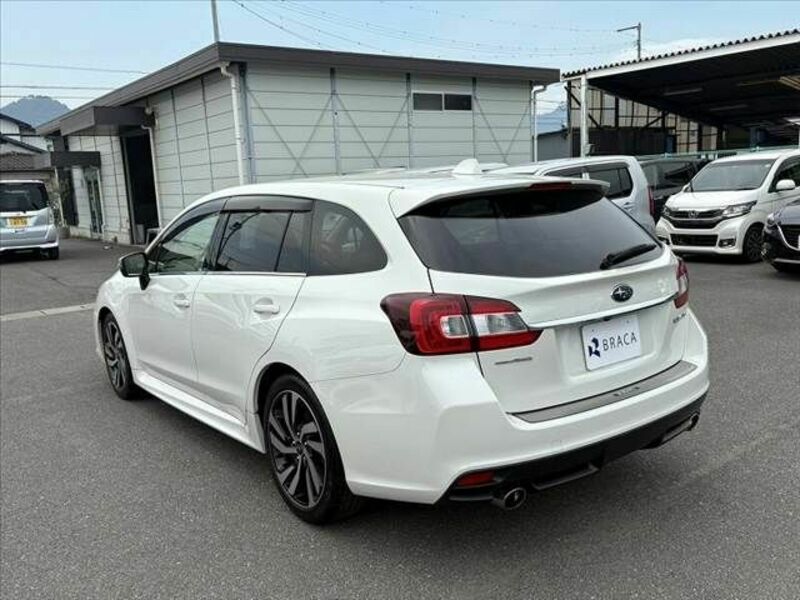 LEVORG