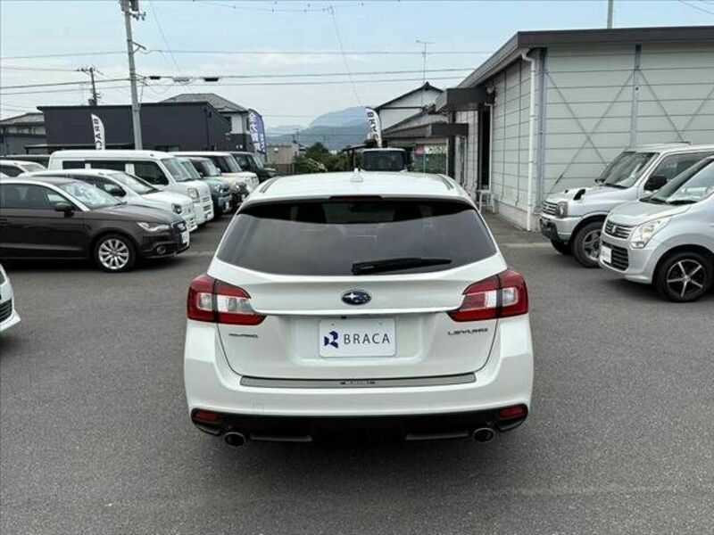 LEVORG