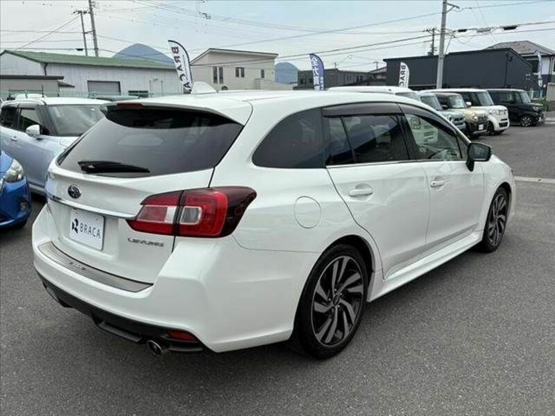 LEVORG