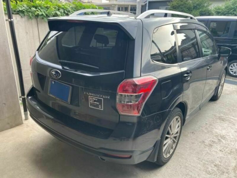 FORESTER