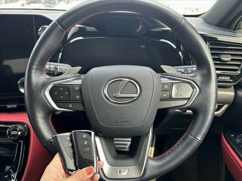 NX