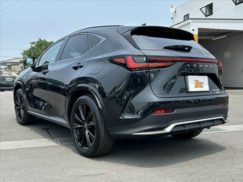 NX