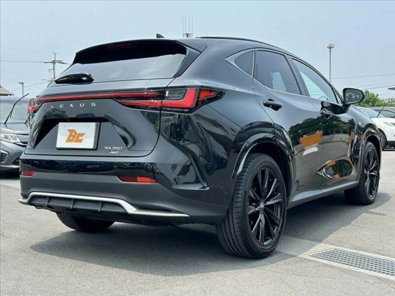 NX