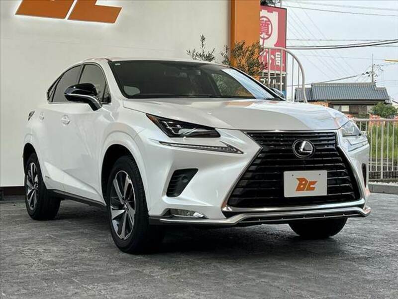 NX