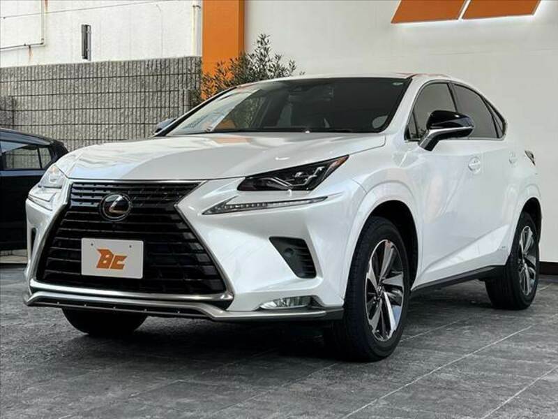 NX