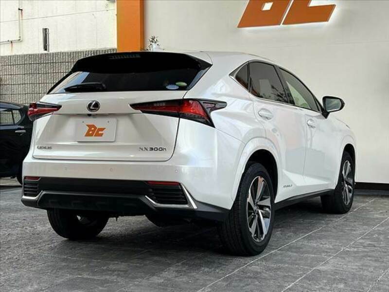 NX