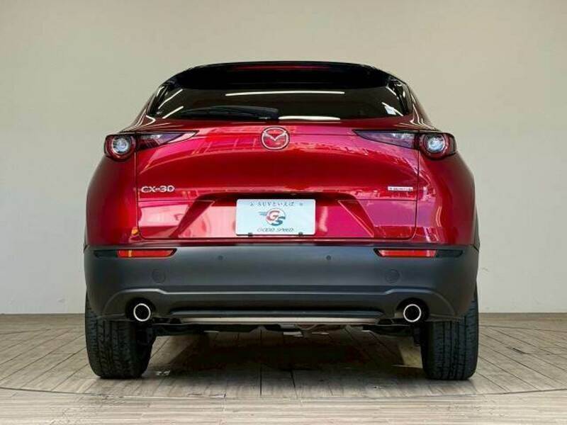 CX-30