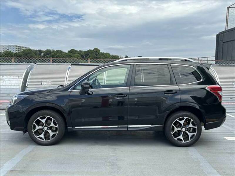 FORESTER