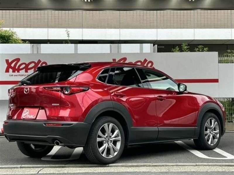CX-30