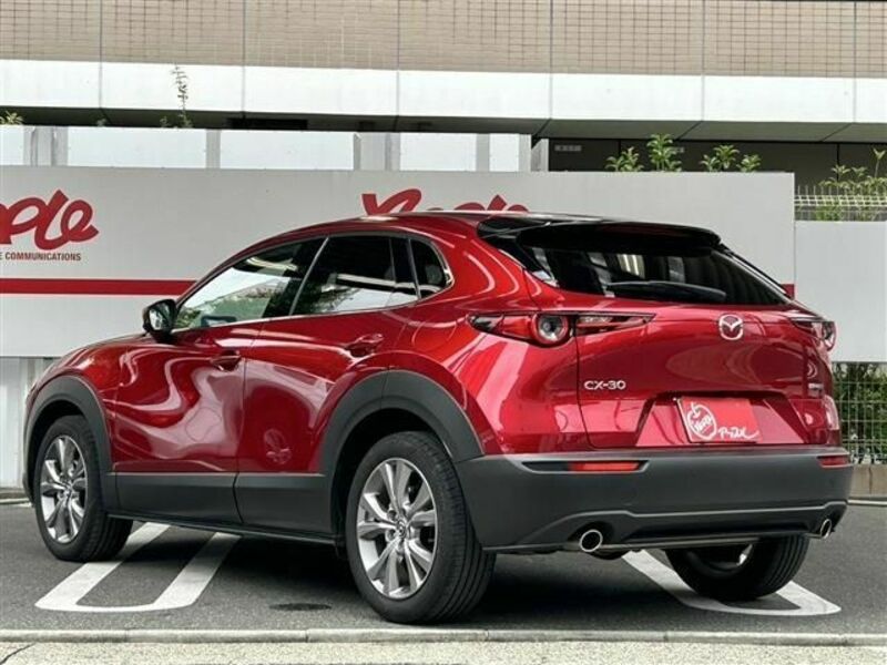 CX-30