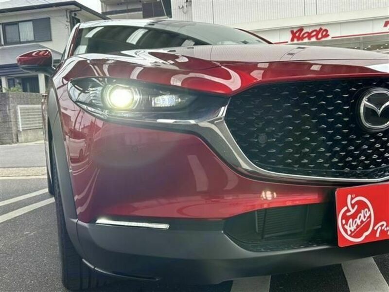 CX-30