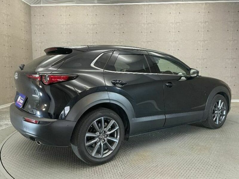 CX-30