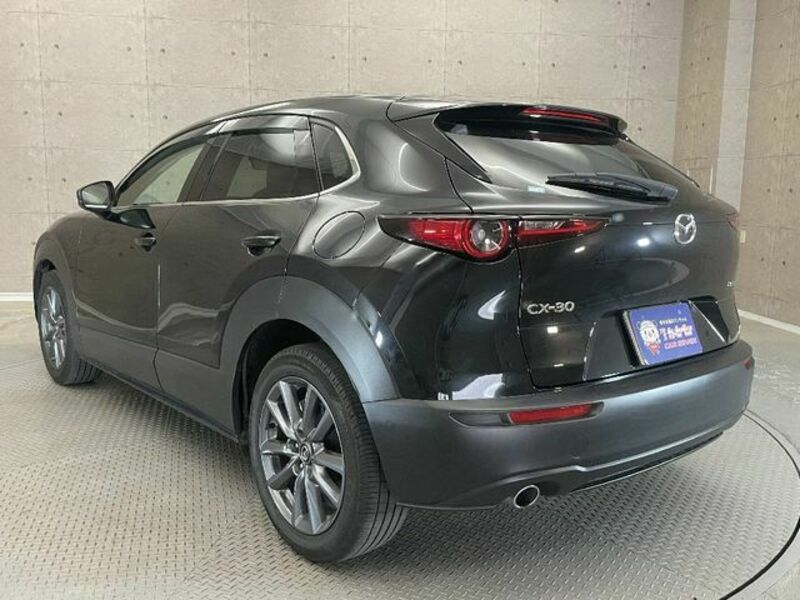 CX-30