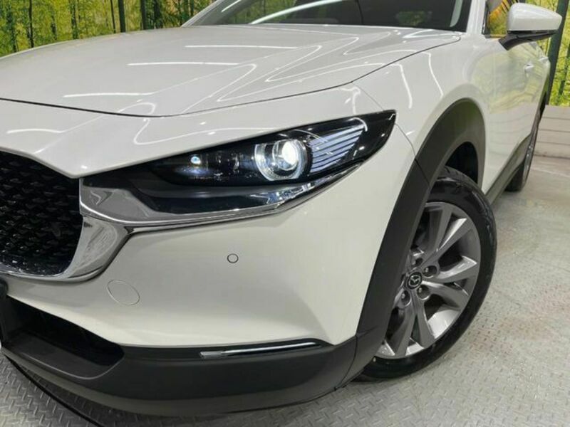 CX-30