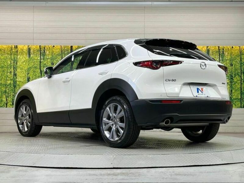 CX-30