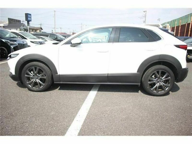 CX-30