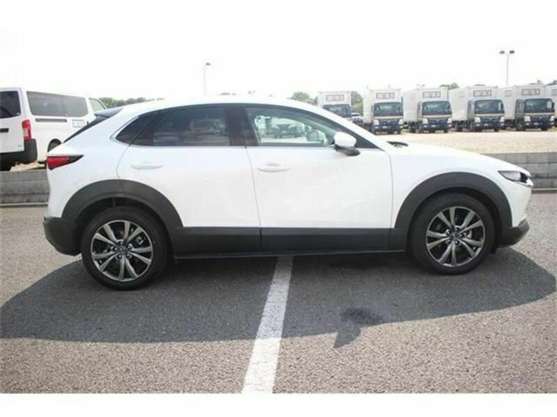 CX-30