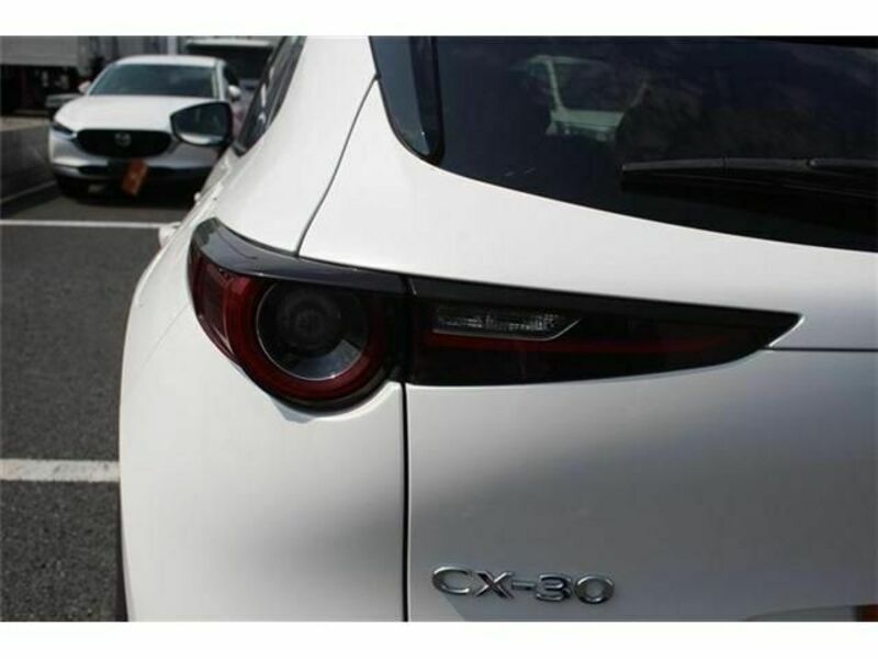 CX-30