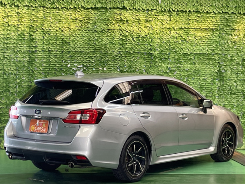 LEVORG