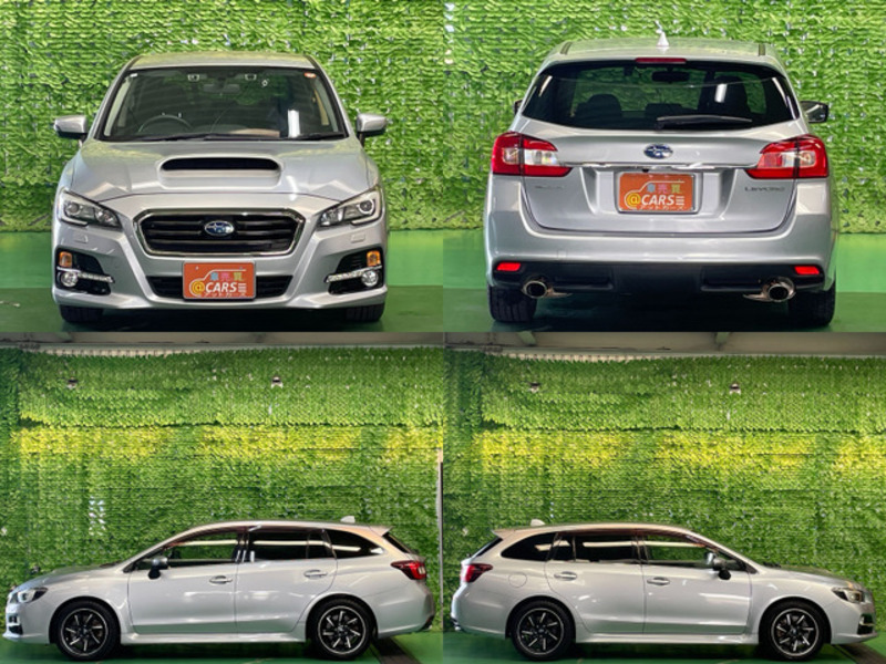 LEVORG