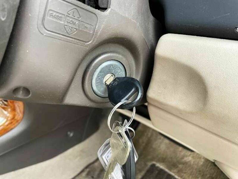 BLUEBIRD SYLPHY