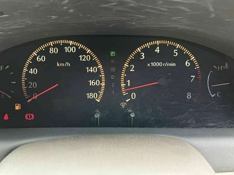 BLUEBIRD SYLPHY