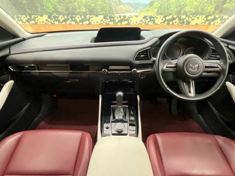 CX-30