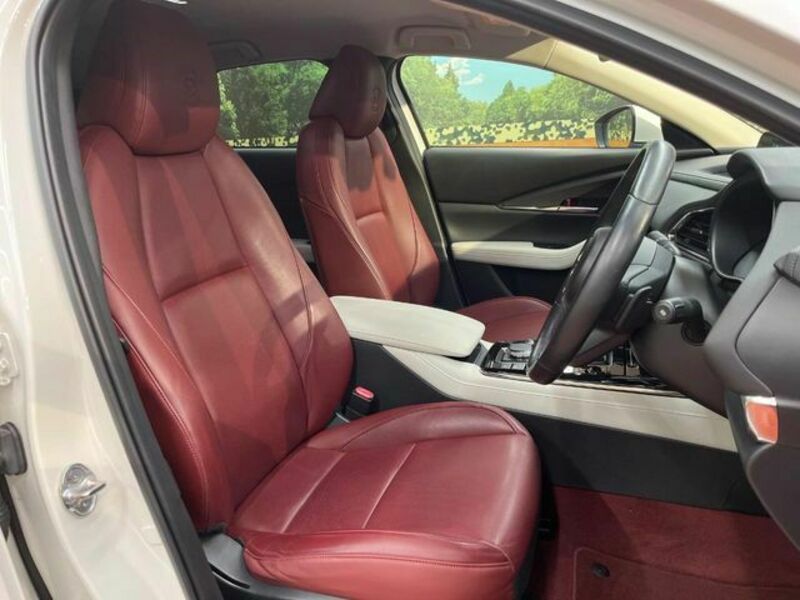 CX-30