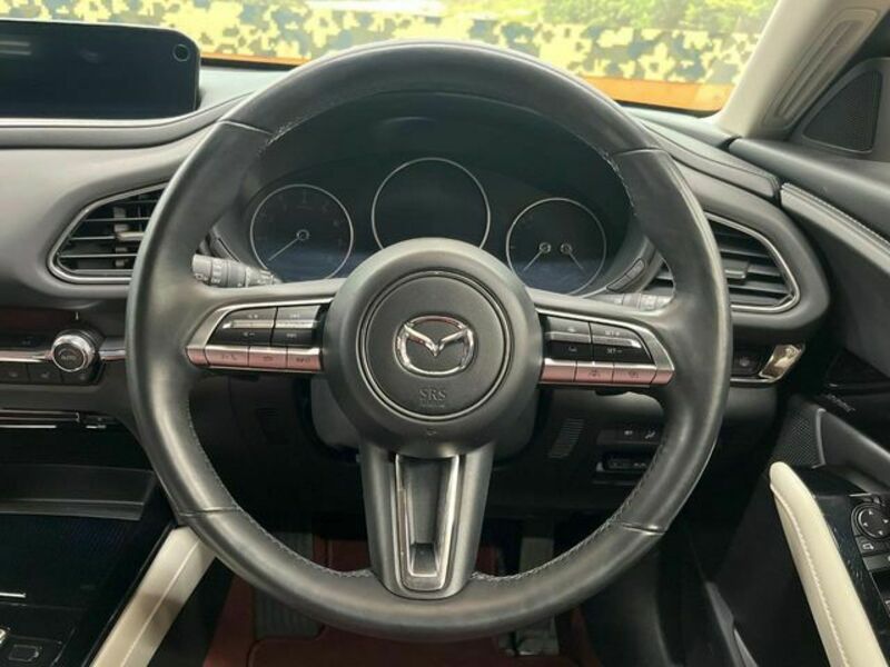 CX-30