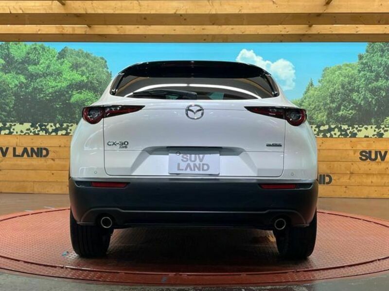 CX-30