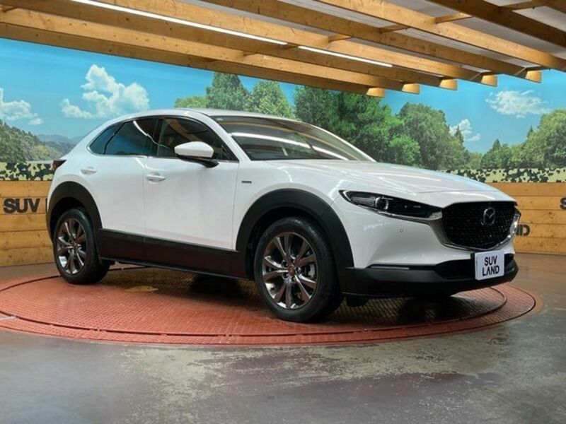 CX-30