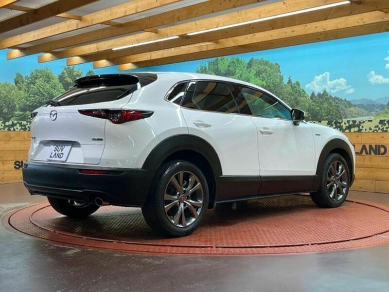 CX-30
