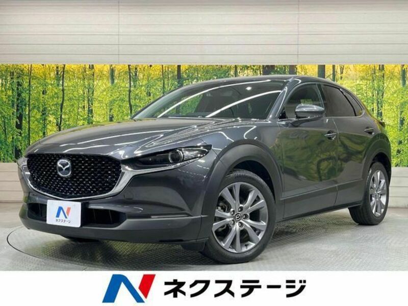 CX-30-0