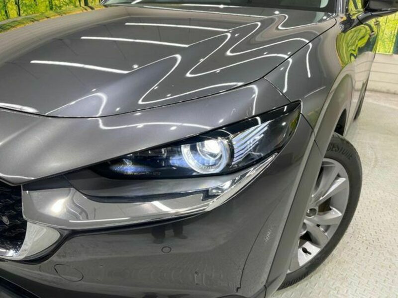 CX-30