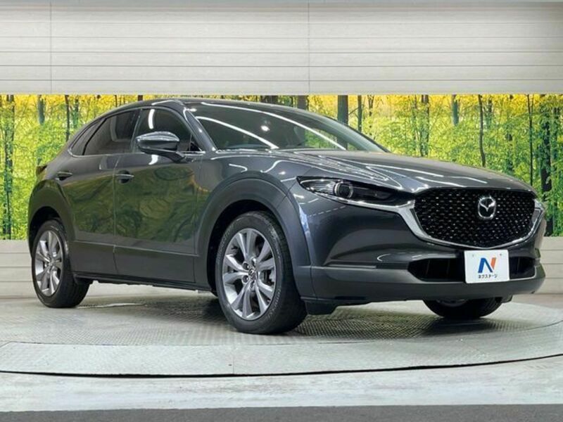 CX-30