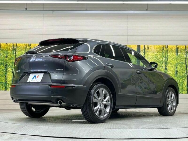 CX-30
