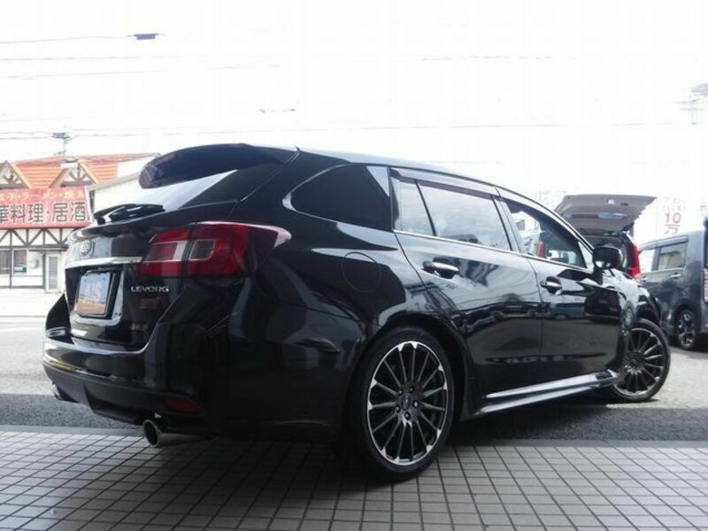 LEVORG
