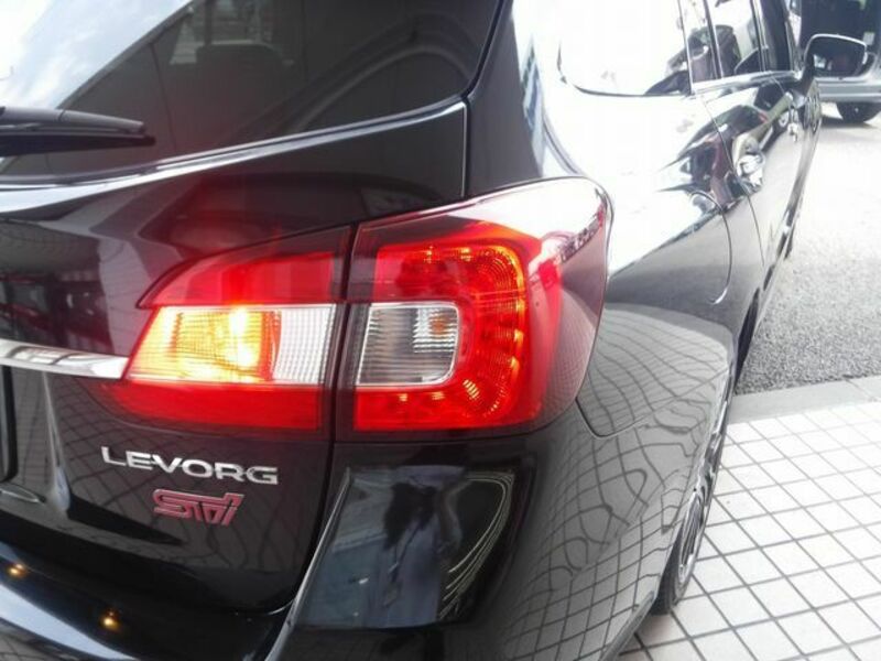 LEVORG