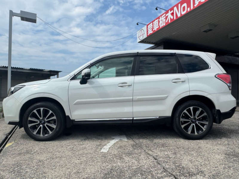 FORESTER