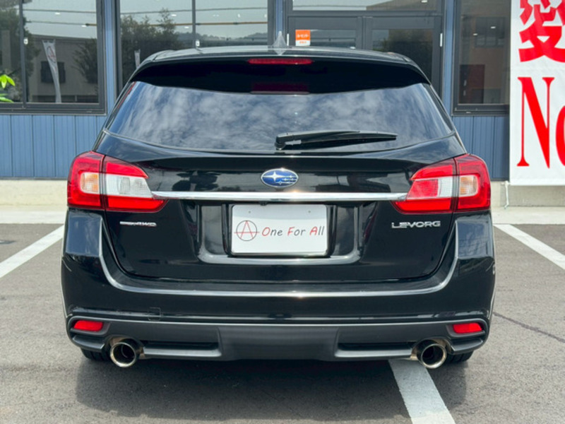 LEVORG